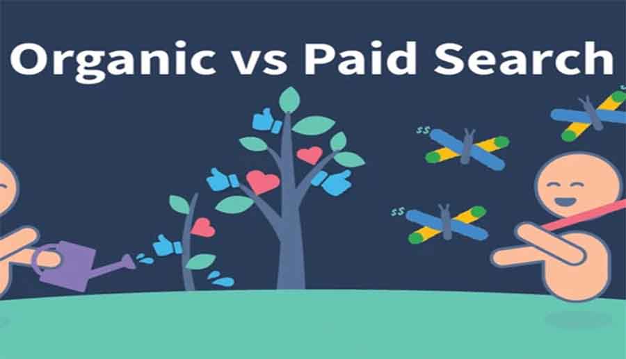 Read more about the article Balancing between paid and organic search for brand success